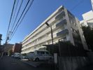 高輪ハイツの間取り画像