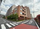 Brillia文京江戸川橋の間取り画像