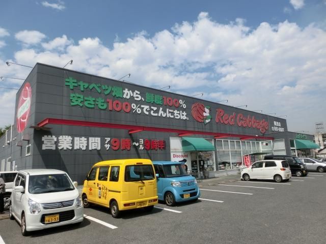 レッドキャベツ(60m)