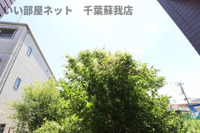 眺望