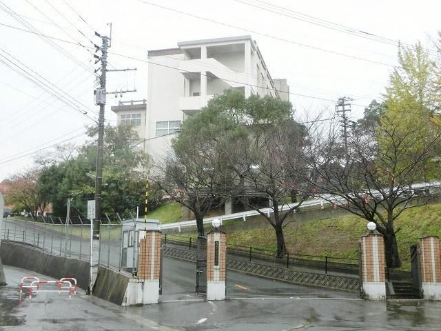 自由ケ丘高校(1750m)