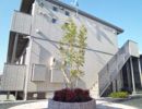 ALBAⅦの間取り画像