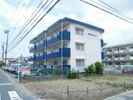 松下細島ライフの外観
