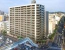 アルファステイツ大学病院通りの間取り画像