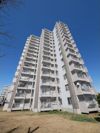 天白第三住宅3号棟の間取り画像