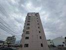 Safari 新居浜の間取り画像