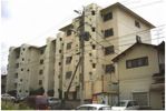 緑光苑マンションの間取り画像
