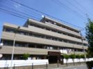 ファミール行徳の間取り画像