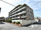 パレッヂ新小岩の間取り画像