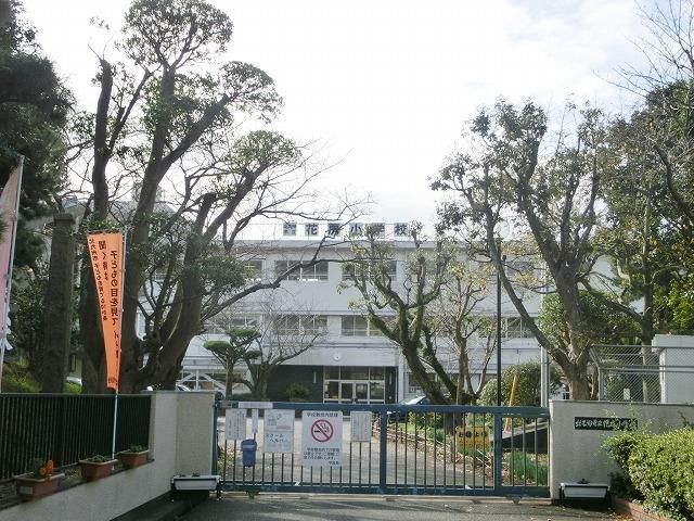 花房小学校(738m)