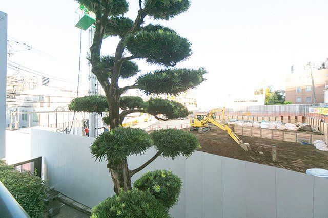 眺望