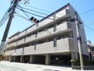 グレース東雲の間取り画像