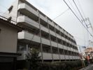 日神デュオステージ練馬北町の間取り画像