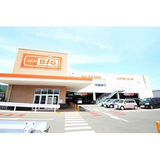 スーパー「ザ・ビッグ 平塚真田店まで550m」