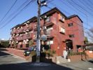ラフォーレ5番館の間取り画像