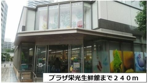 プラザ栄光生鮮館まで240m