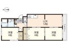 ベルコーポ井口の間取り画像