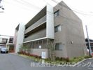 シャルマン静嘉の間取り画像