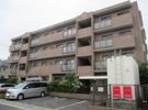 シャトレ白山の間取り画像