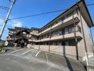 サンライズ本郷の間取り画像