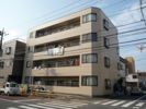 シェモア・モリタの間取り画像