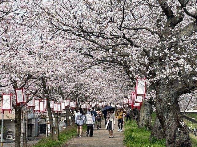 近くに施設あり