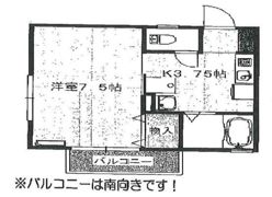 セジュール伴安の間取り画像