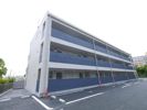 Blue cosmoの間取り画像