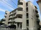 泰山ハイツの間取り画像