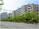 シーサイドももちクリスタージュ弐番館の間取り画像
