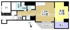 ソルトシティ浜松の間取り画像