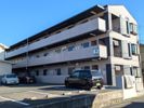 ミラハイツ枝松の間取り画像