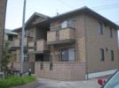 ウィルモア島崎 A棟の間取り画像