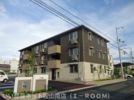 D-room椿 B棟の間取り画像