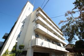 メゾン安川の外観画像