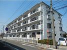 第六サンハイツ大森の間取り画像