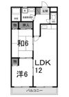 アメニティハイツ小川 203の間取り画像
