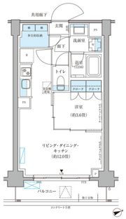パークアクシス文京本郷の間取り画像