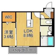 D-room浜町の間取り画像