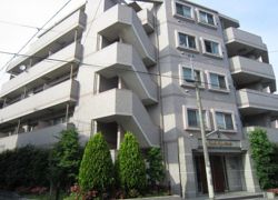 キャッスルシティ江古田の外観画像