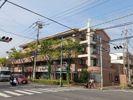 スリーズマンションの間取り画像