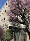 瀬田シティハウスの間取り画像