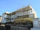 レオパレス雪月花の間取り画像