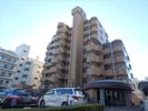 セラヴィ上宿の間取り画像