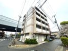 ドムールコスモス魚崎南の間取り画像