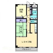 スカール上之町の間取り画像