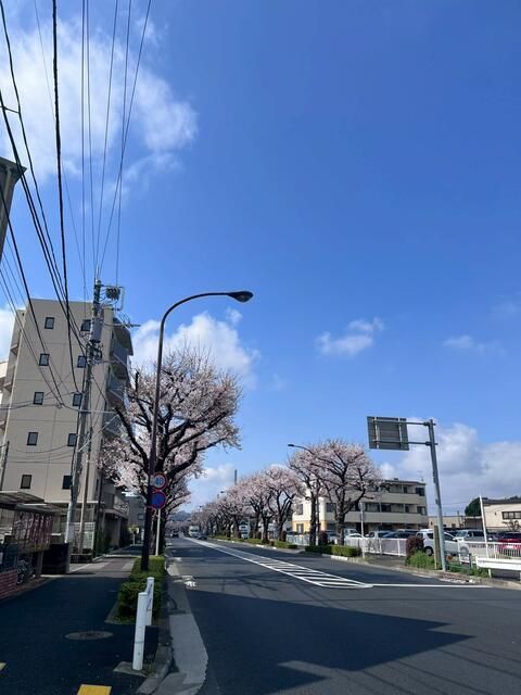 近くに施設あり