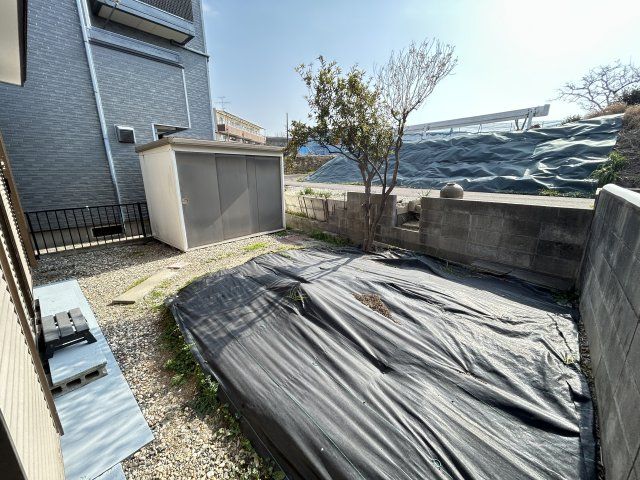 庭