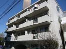 河野ビルの間取り画像