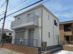 アガパンサスの外観画像